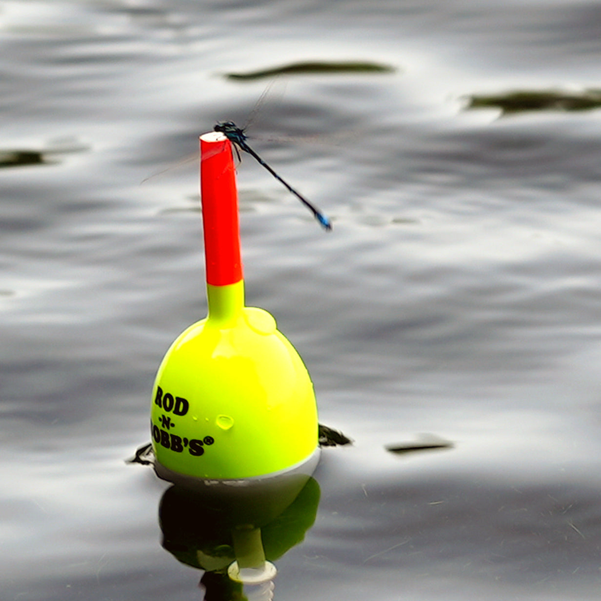 Fishing Bobber - Suchergebnis Auf Für